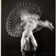Herbert Matter, “East Indian Dancer,” Pravina, 1937.